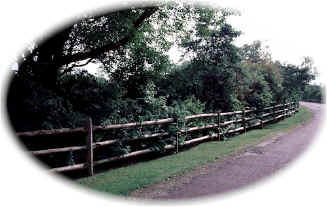 Fence.jpg (10950 bytes)