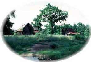 ncfarm.jpg (9405 bytes)