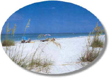 sarasota.jpg (17394 bytes)